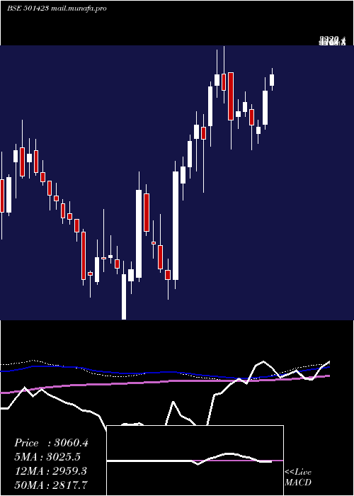  weekly chart ShaEng
