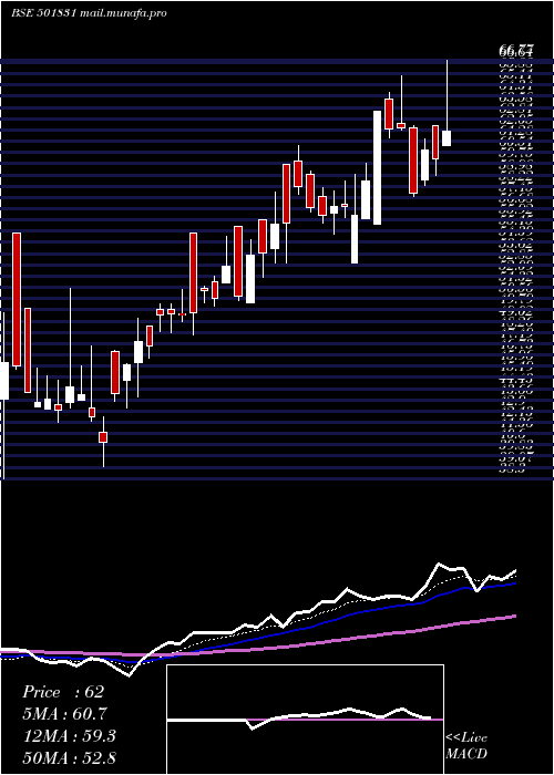  Daily chart CoastCorp