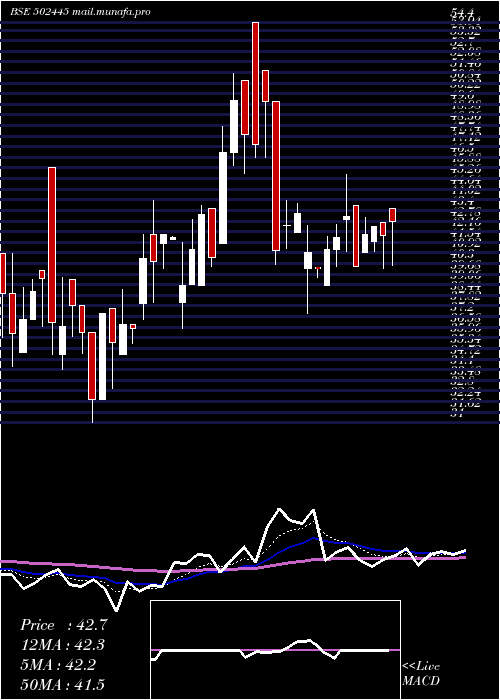  Daily chart Citadel