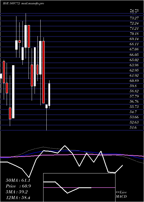 monthly chart ModellaWool