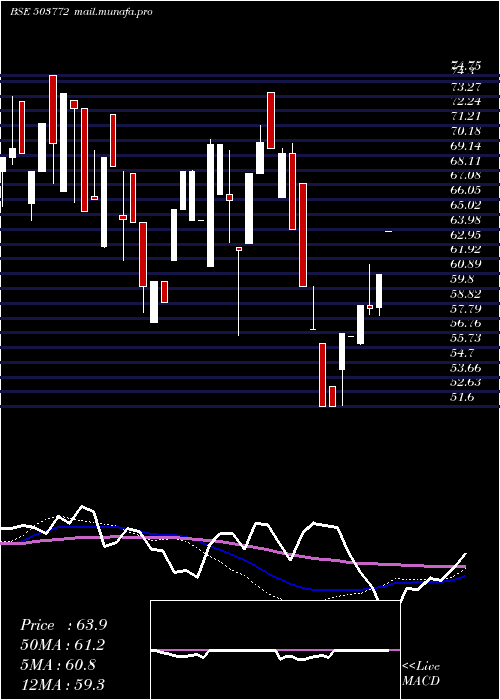  weekly chart ModellaWool
