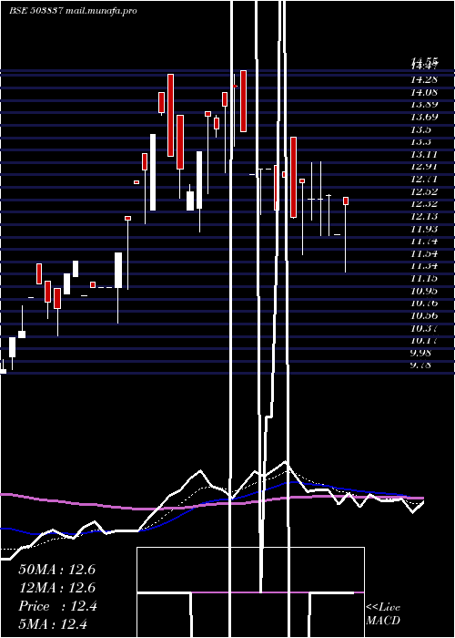  Daily chart ShreeRajsyn