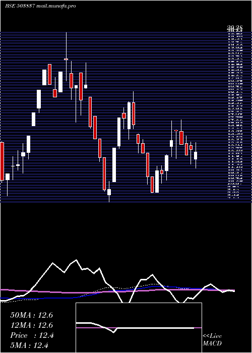  weekly chart ShreeRajsyn