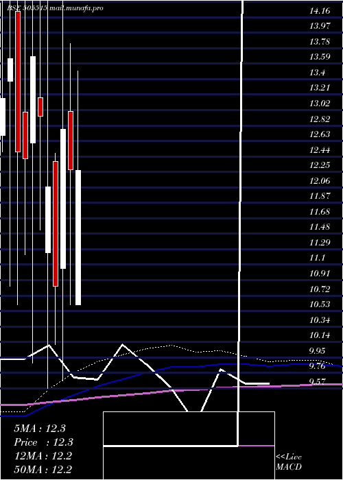  monthly chart ShyamkamInv