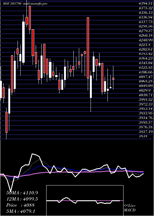  Daily chart Schaeffler