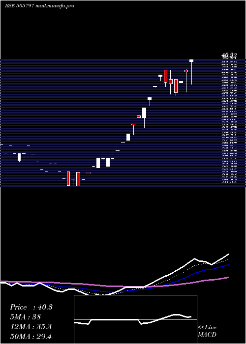  Daily chart MipcoSeam