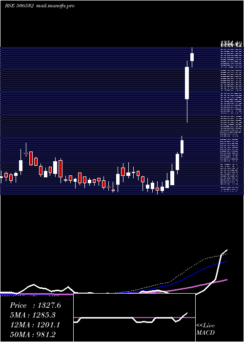  weekly chart NittaGela