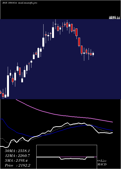  Daily chart TanfacInd