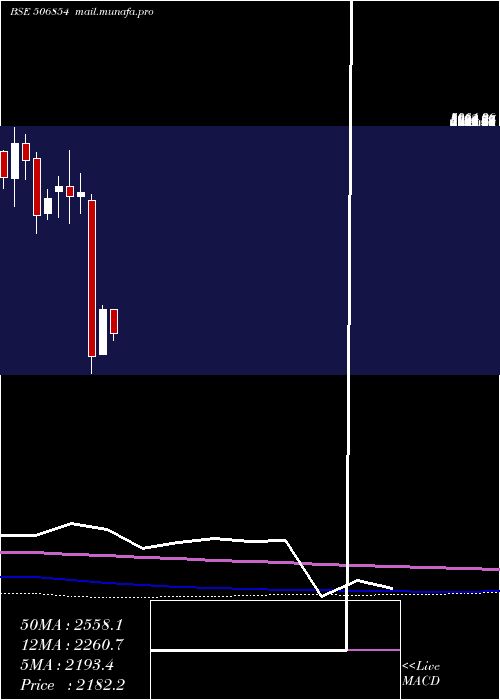  monthly chart TanfacInd