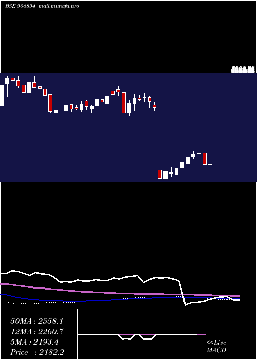 weekly chart TanfacInd