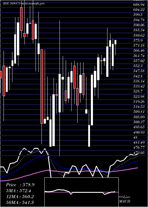  Daily chart Nitincast