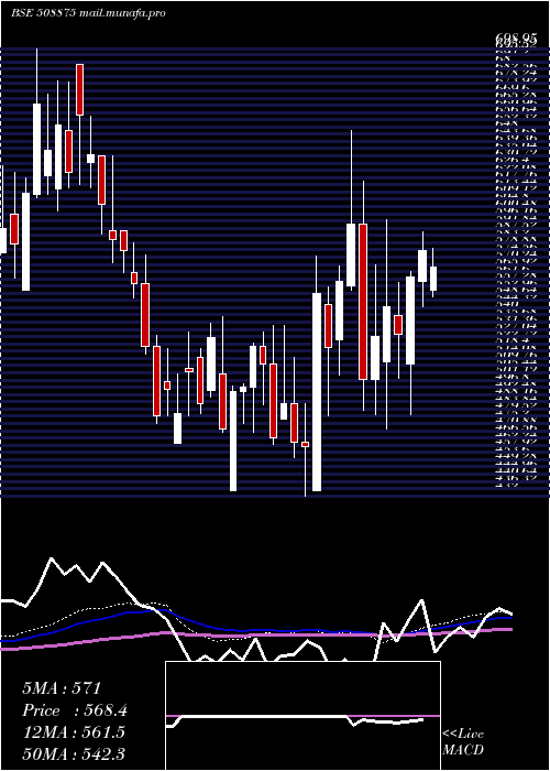  weekly chart Nitincast