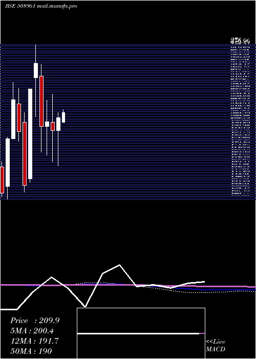  monthly chart ShriconInd