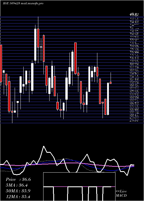  weekly chart Sel