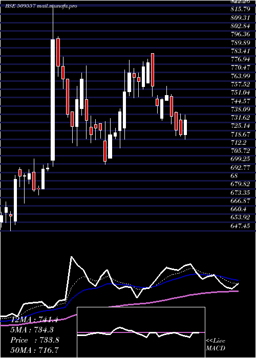  Daily chart Garfibres