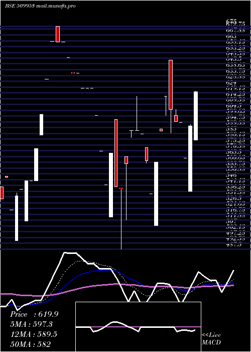  Daily chart TradeWings