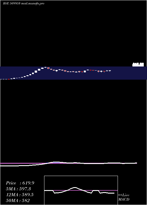  weekly chart TradeWings