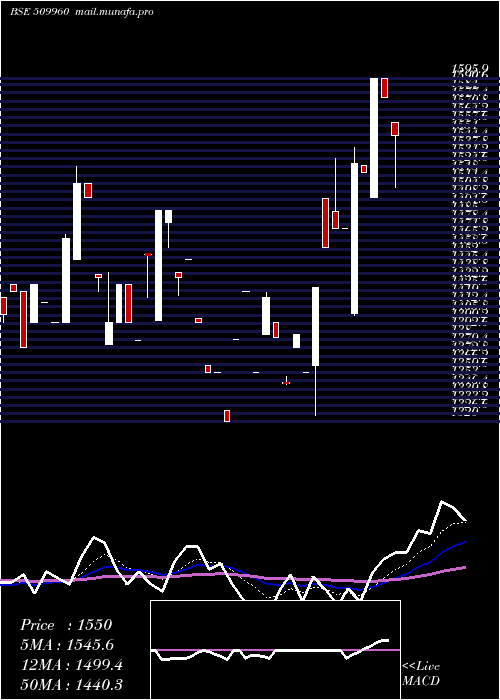  Daily chart UP