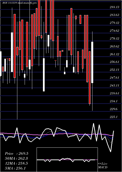  Daily chart TimesGuaran