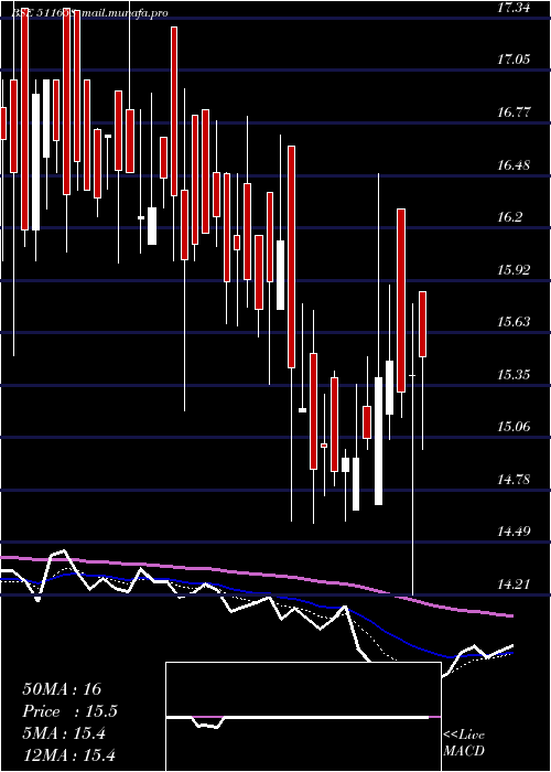  Daily chart Nettlinx