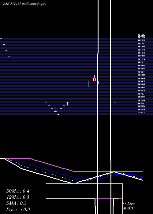  Daily chart ShalimarPro
