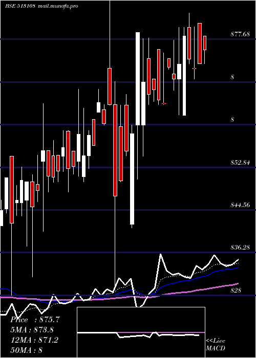  Daily chart GandhiSp