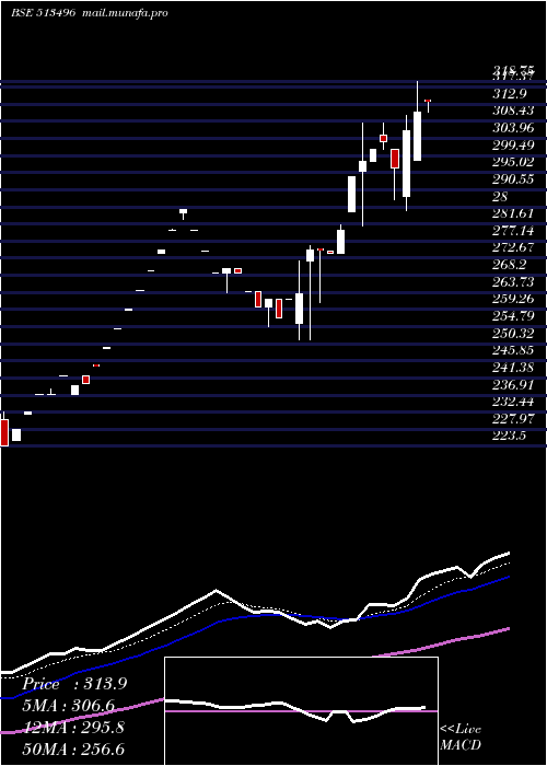  Daily chart MewatZinc