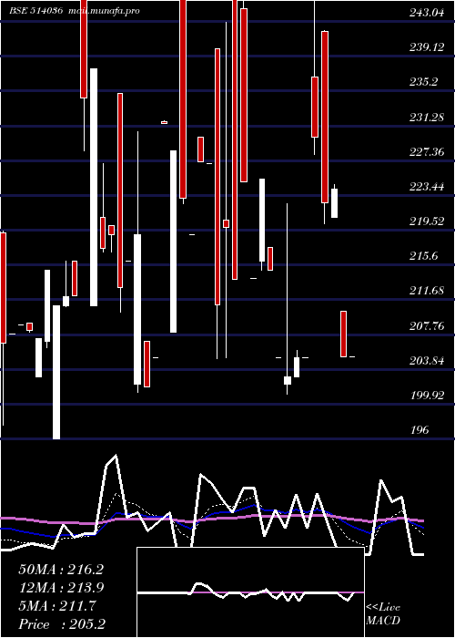  Daily chart LoyTex