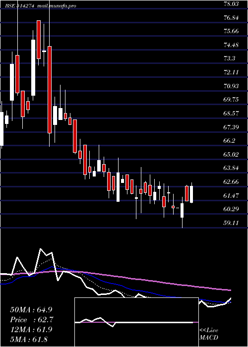  Daily chart AarveeDenim