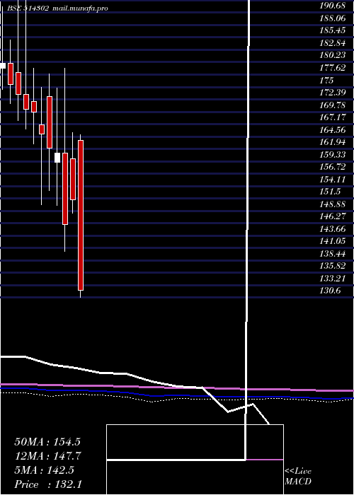  monthly chart VippySpin