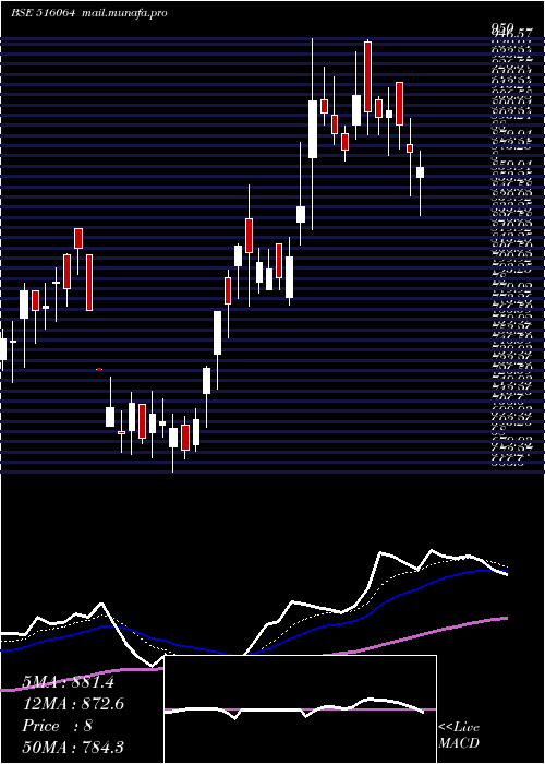  Daily chart Arrowgreen