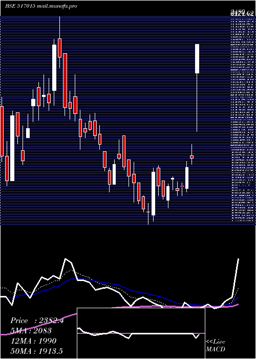  Daily chart VindhyaTele