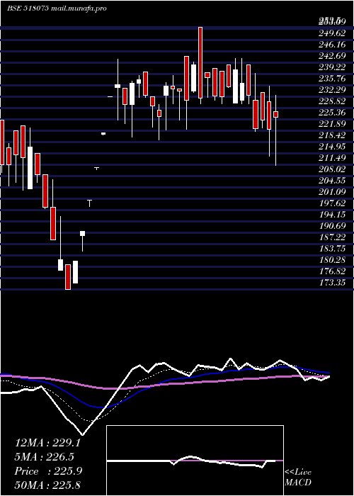  Daily chart SurajProduc