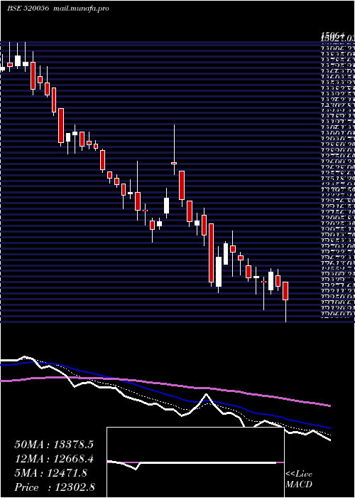  Daily chart SundarClay