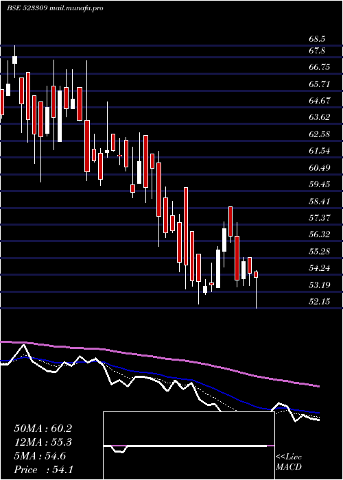  Daily chart ShrigangInd