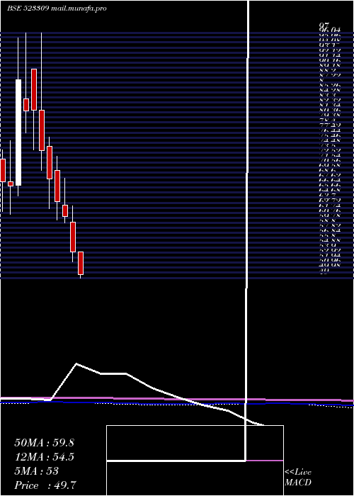  monthly chart ShrigangInd