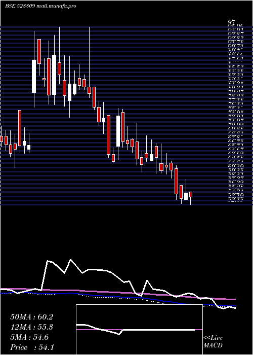  weekly chart ShrigangInd