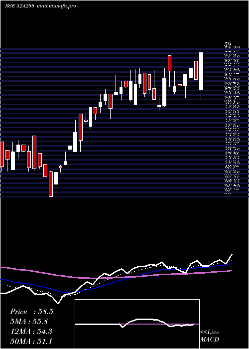  Daily chart AimcoPesti