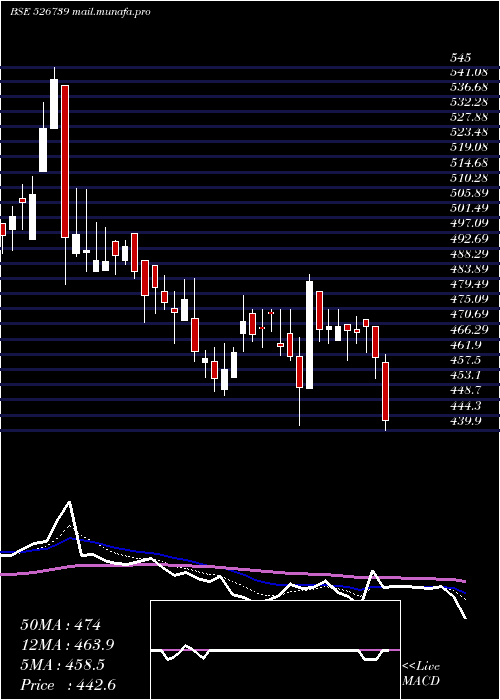  Daily chart NarmadaGel