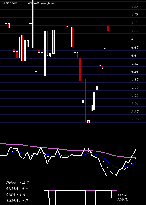  Daily chart JaincoProj