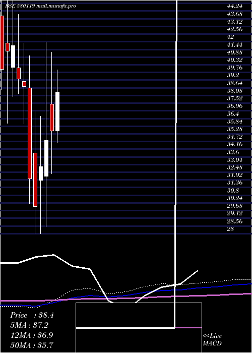  monthly chart NatrajProte