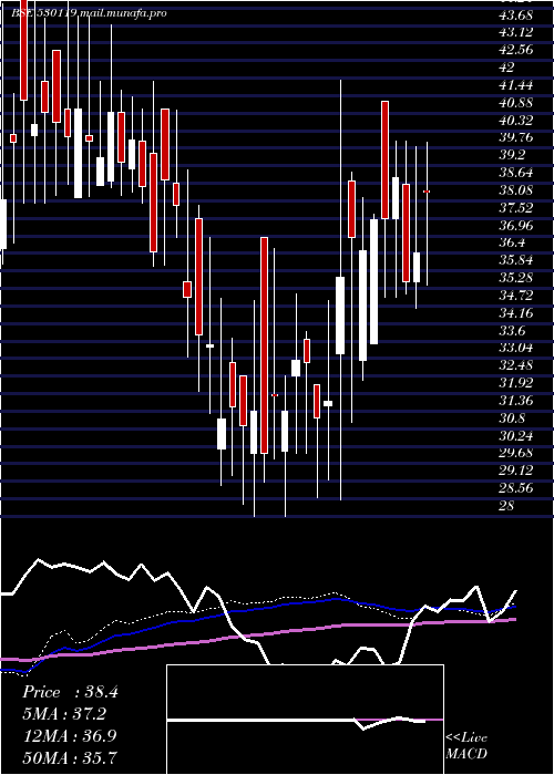  weekly chart NatrajProte