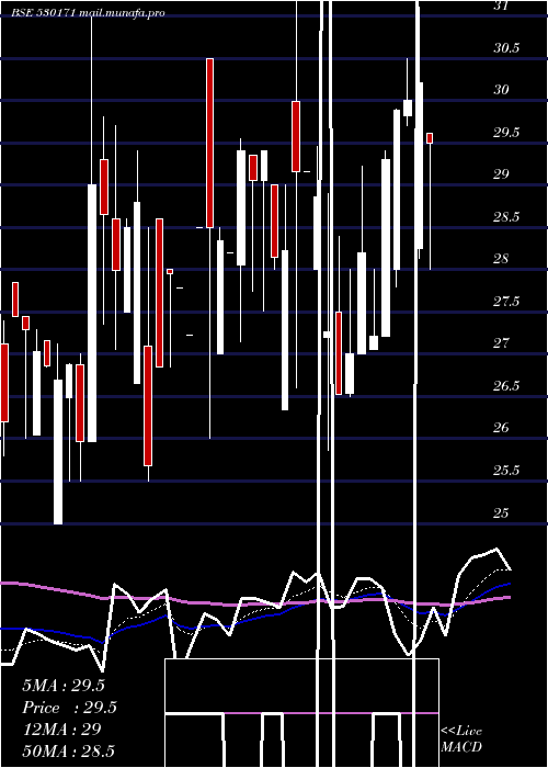  Daily chart DaulatSec