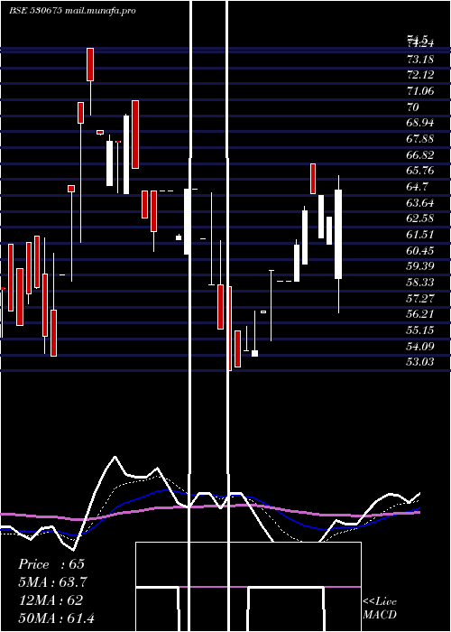  Daily chart YorkExports