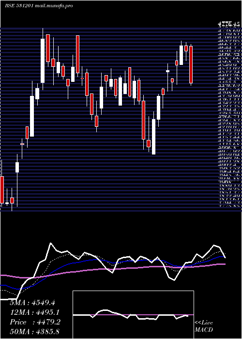  Daily chart ShilcharTec