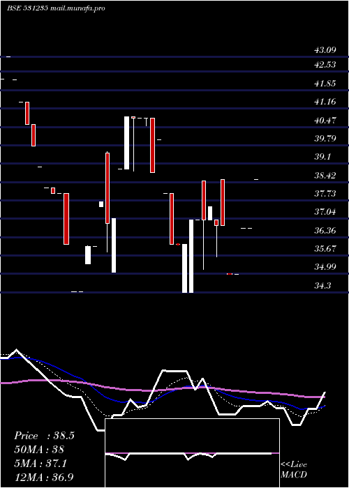  Daily chart CitiPort
