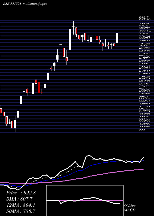  Daily chart ChoiceInt