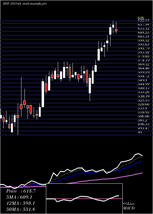  Daily chart SomanyCram