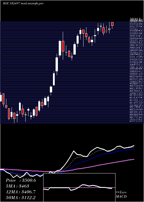  Daily chart Radicokhait