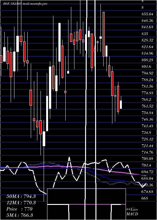  weekly chart Rajapamills